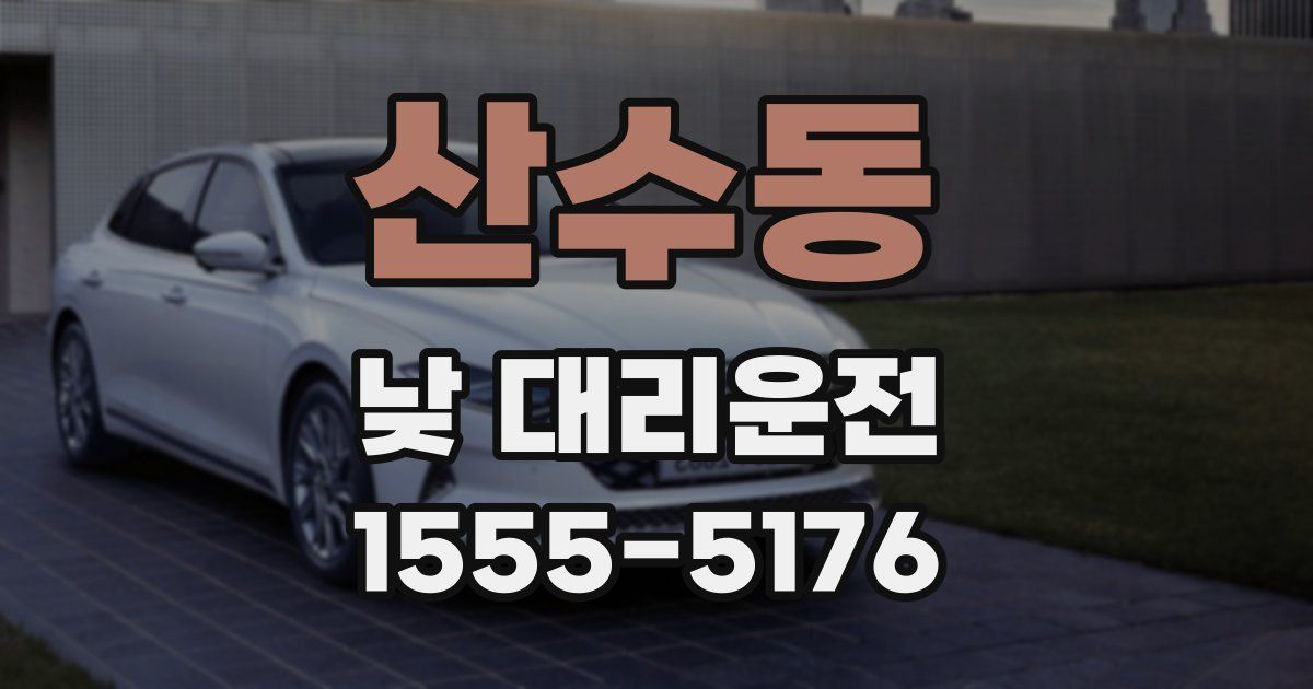 산수동 낮 대리운전
