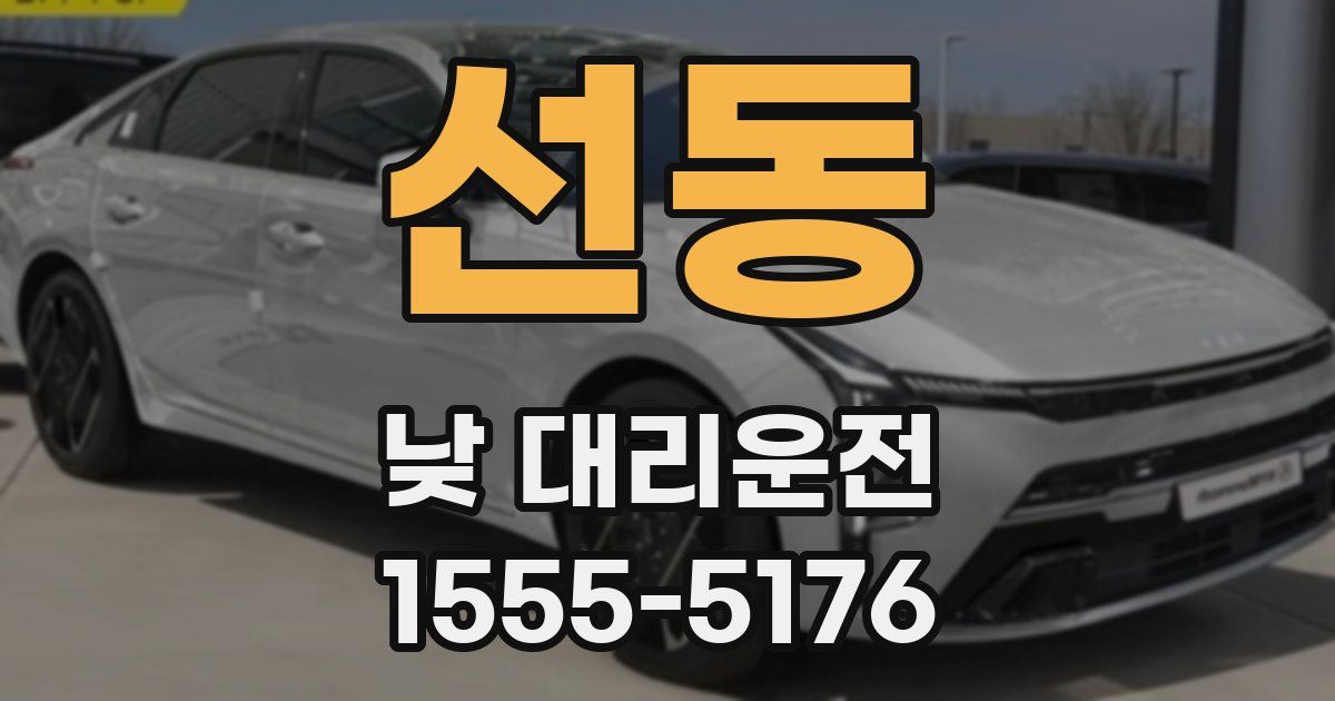 선동 낮 대리운전