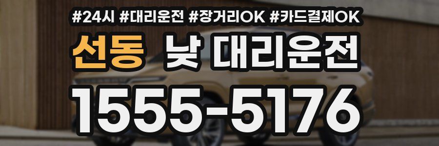 선동 낮 대리운전