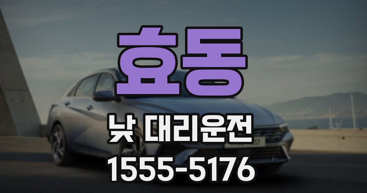 효동 낮 대리운전