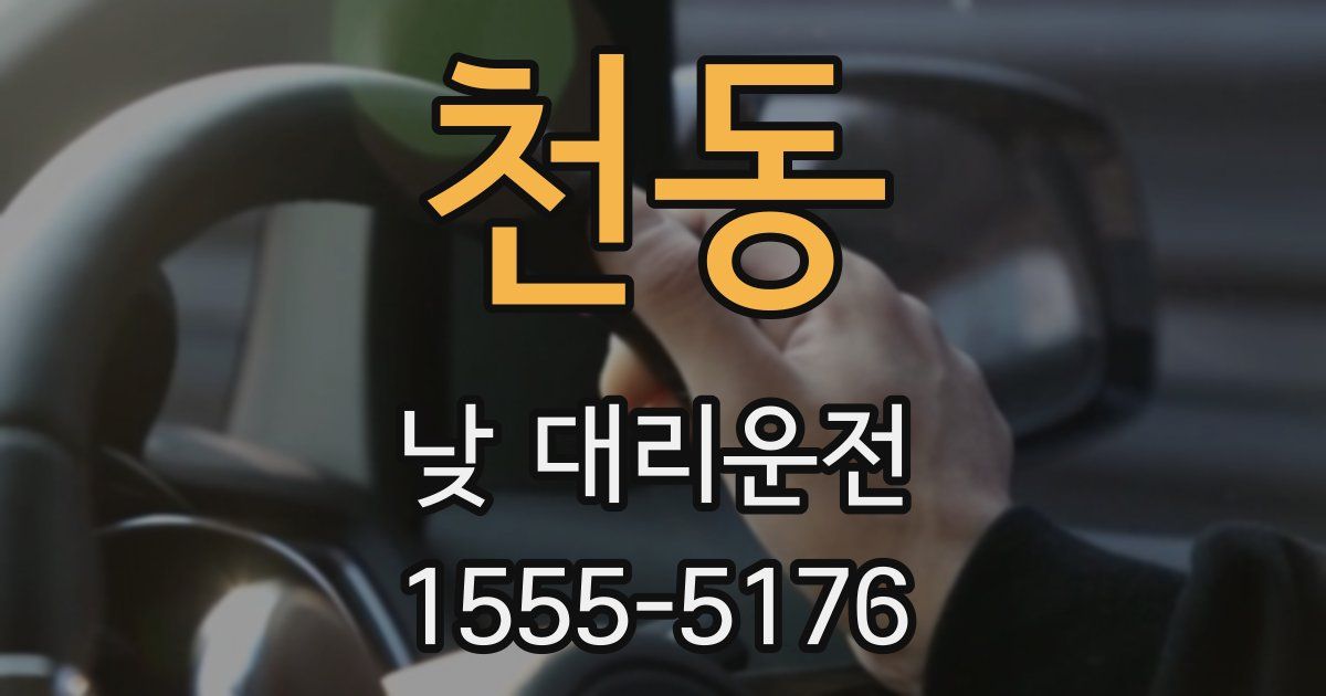 천동 낮 대리운전