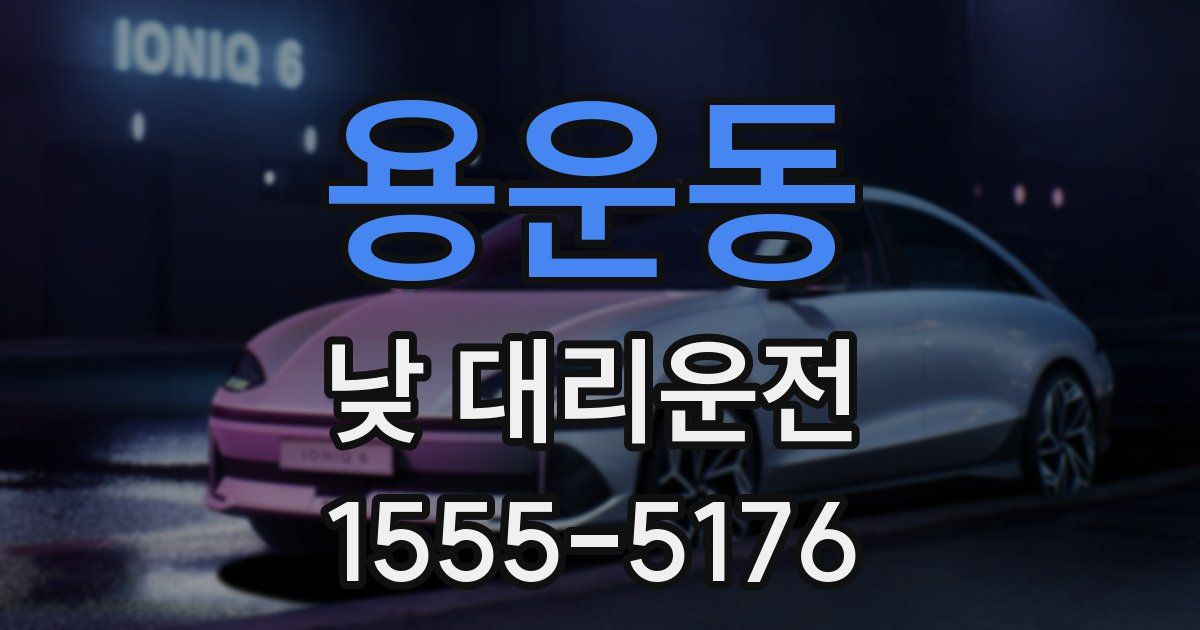 용운동 낮 대리운전