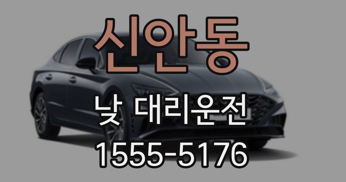 신안동 낮 대리운전