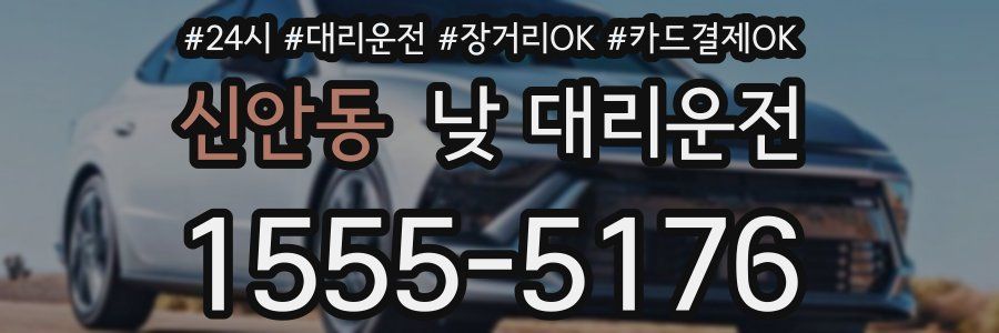 신안동 낮 대리운전