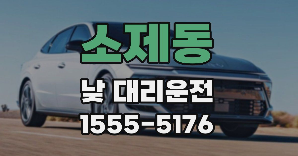 소제동 낮 대리운전