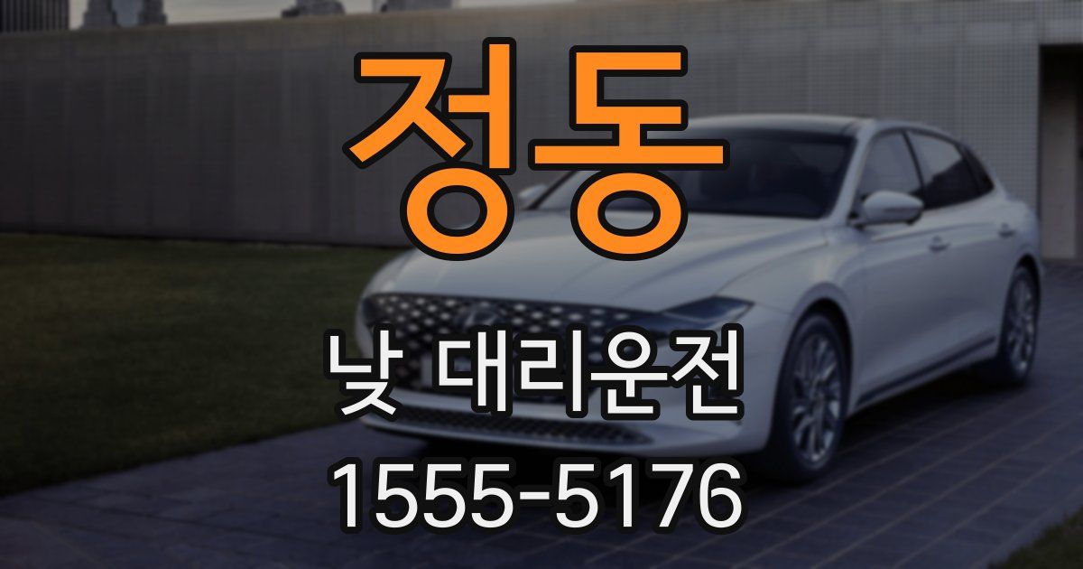 정동 낮 대리운전