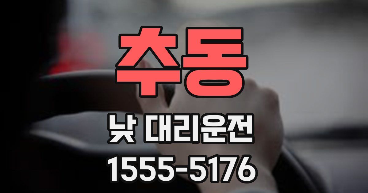 추동 낮 대리운전