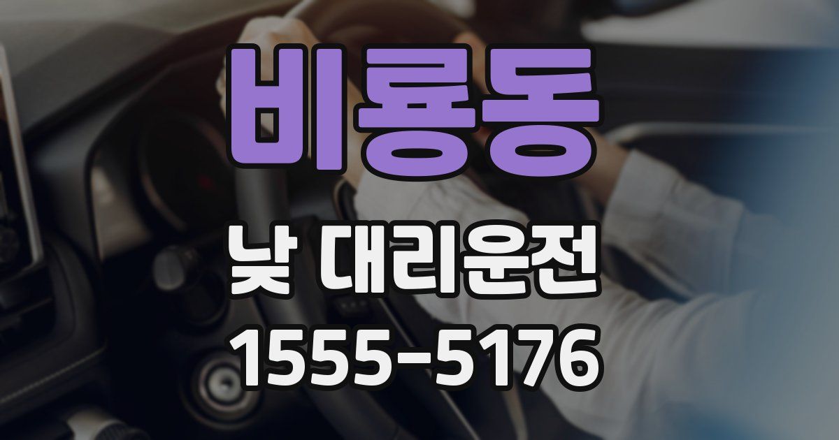 비룡동 낮 대리운전