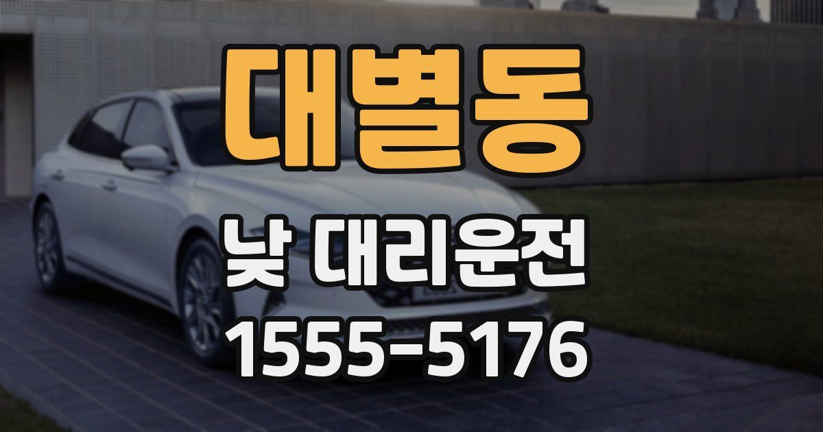 대별동 낮 대리운전