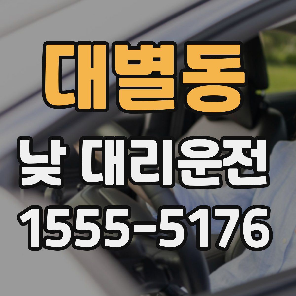 대별동 낮 대리운전