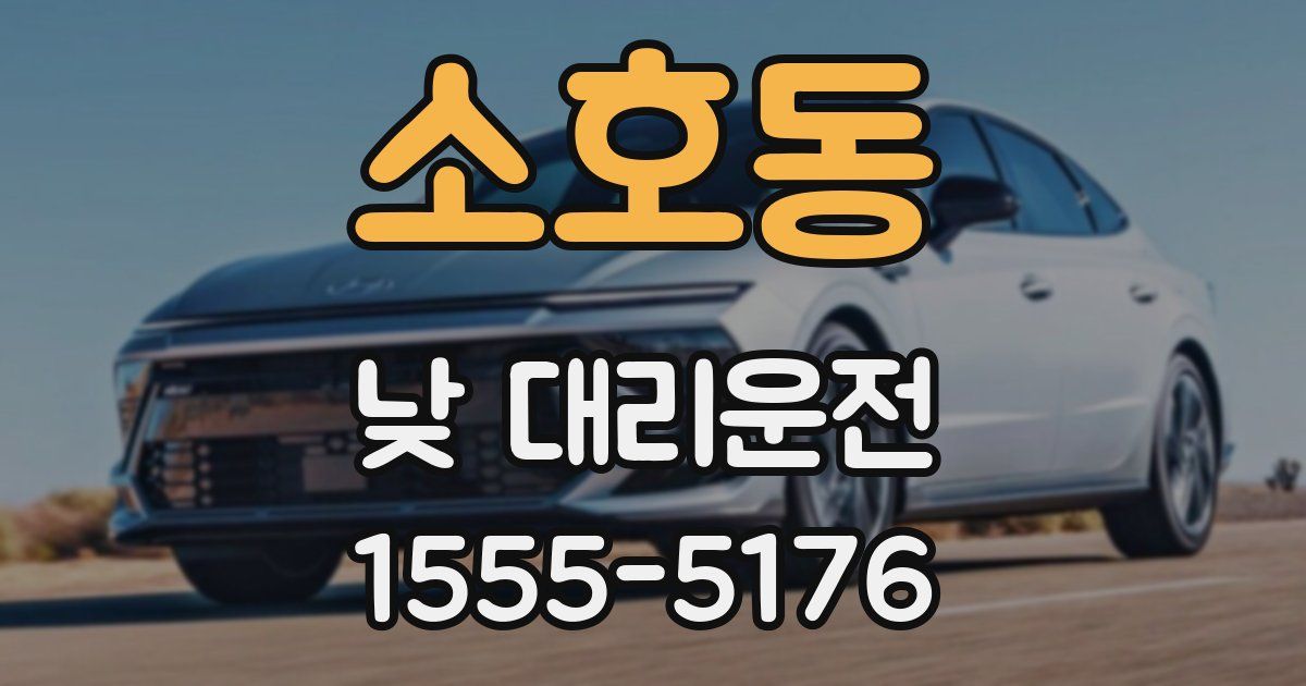 소호동 낮 대리운전