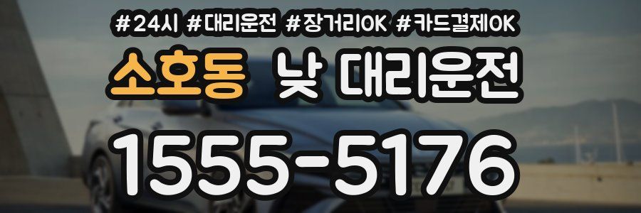 소호동 낮 대리운전