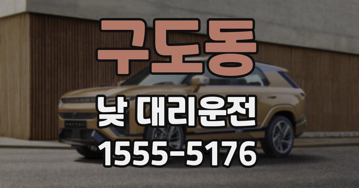 구도동 낮 대리운전