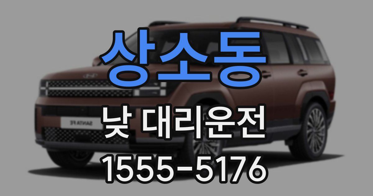 상소동 낮 대리운전