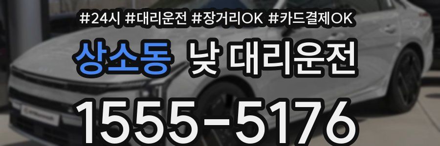 상소동 낮 대리운전
