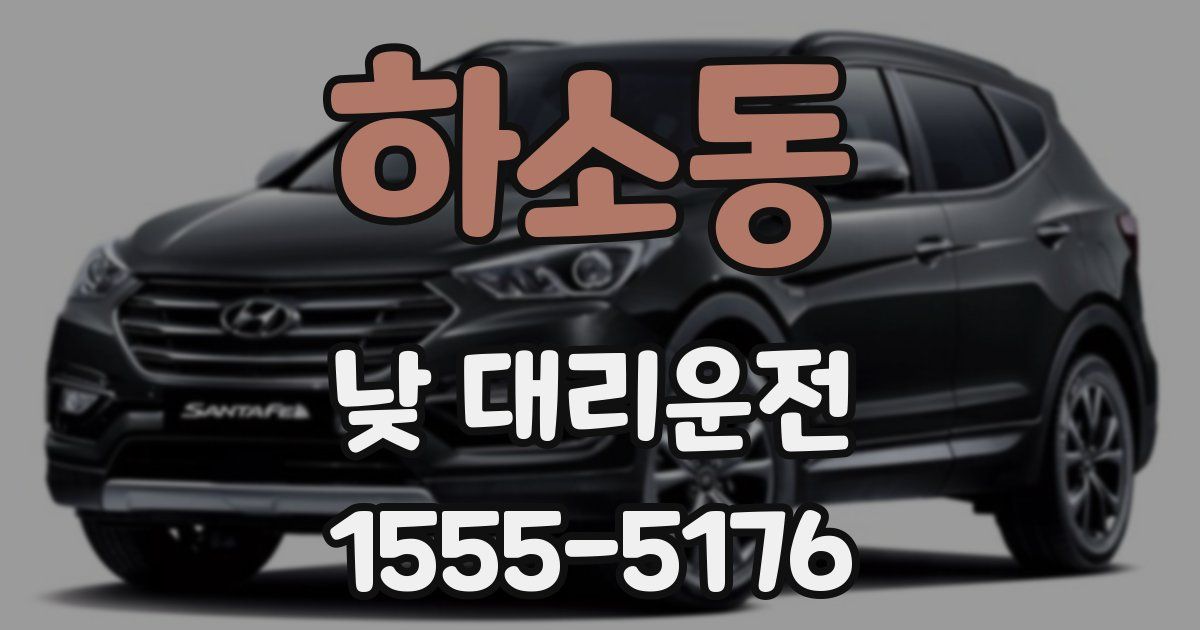 하소동 낮 대리운전