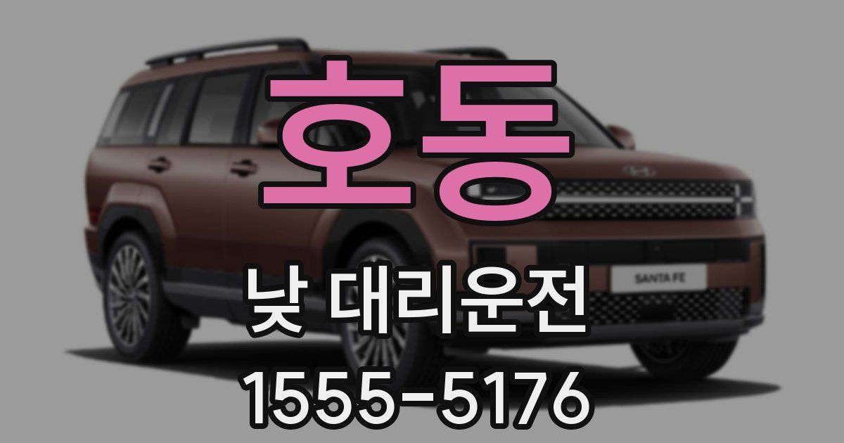 호동 낮 대리운전