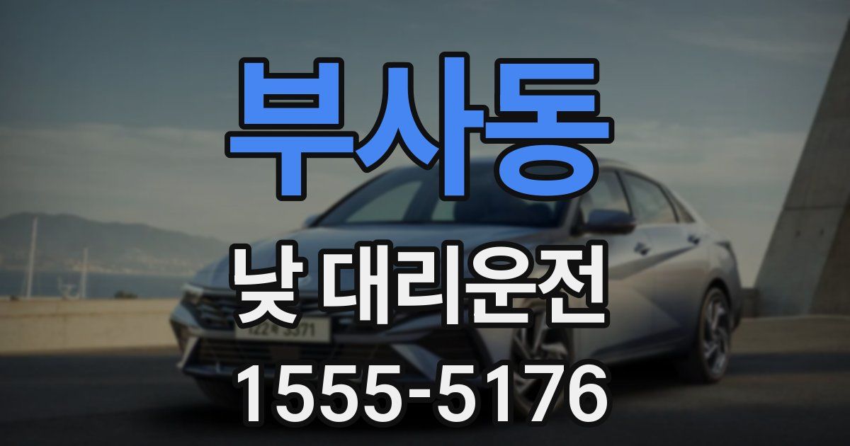 부사동 낮 대리운전