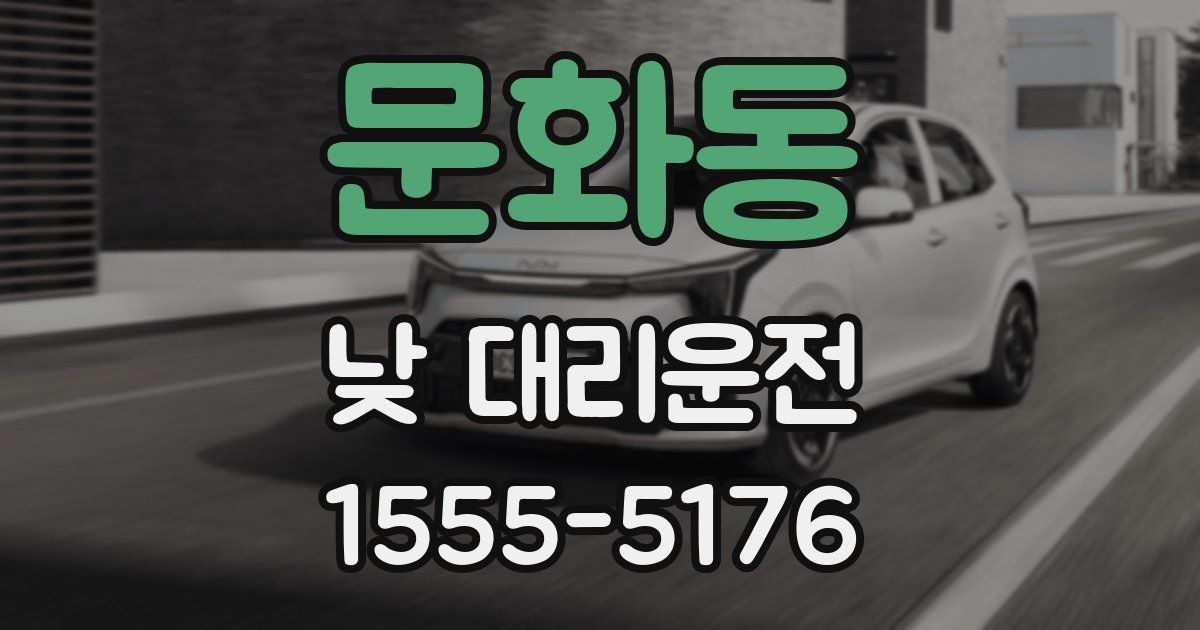 문화동 낮 대리운전
