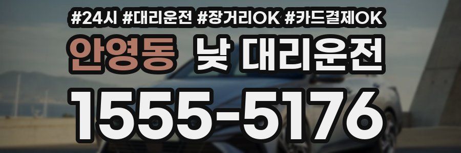 안영동 낮 대리운전
