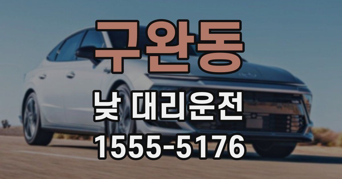 구완동 낮 대리운전
