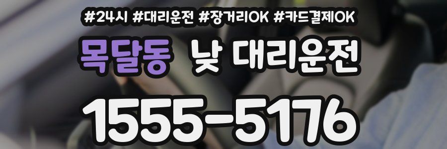 목달동 낮 대리운전