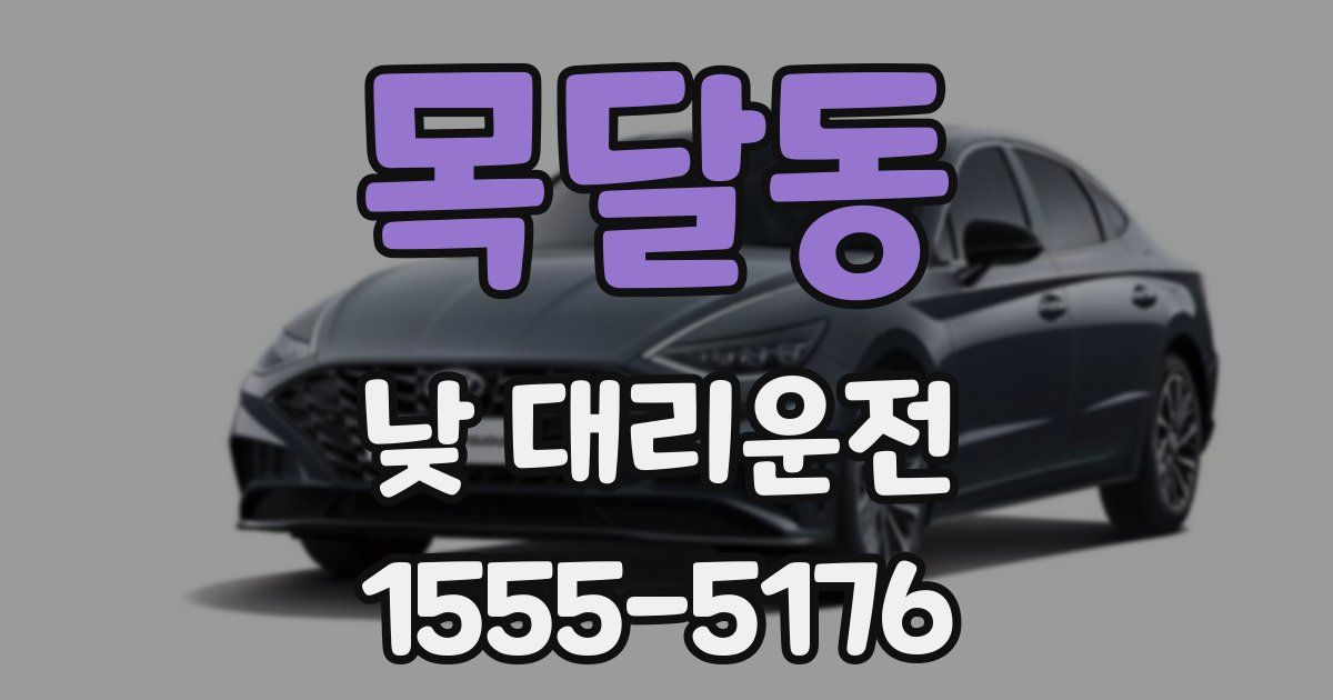 목달동 낮 대리운전
