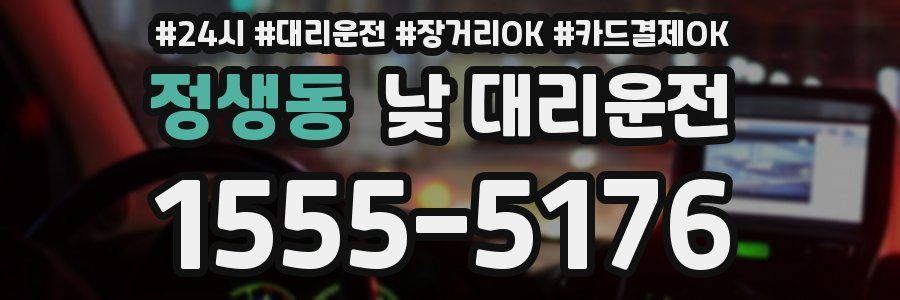 정생동 낮 대리운전