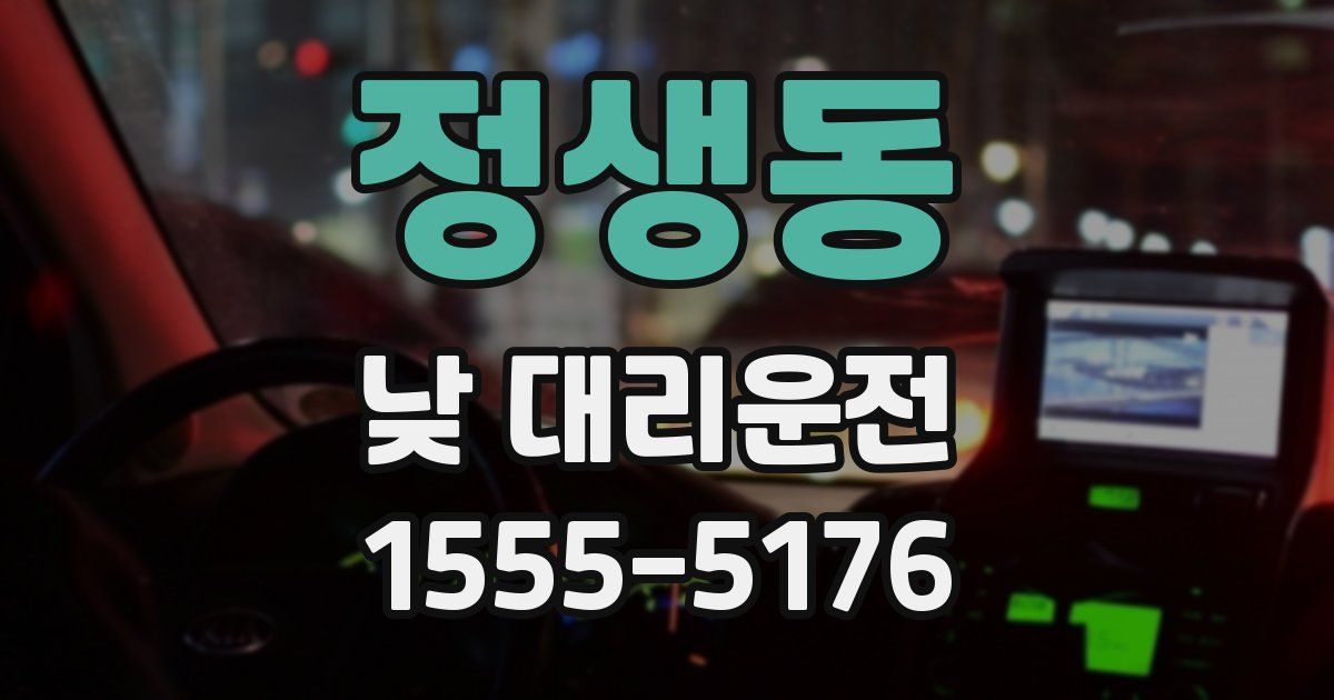 정생동 낮 대리운전