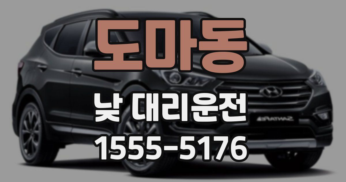 도마동 낮 대리운전