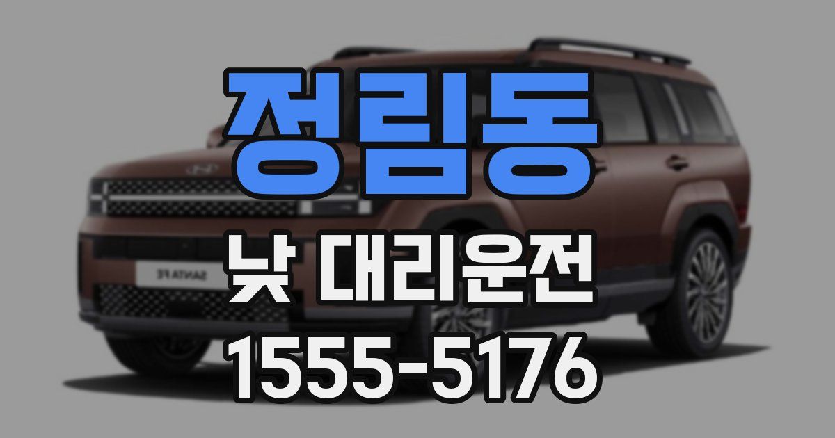 정림동 낮 대리운전