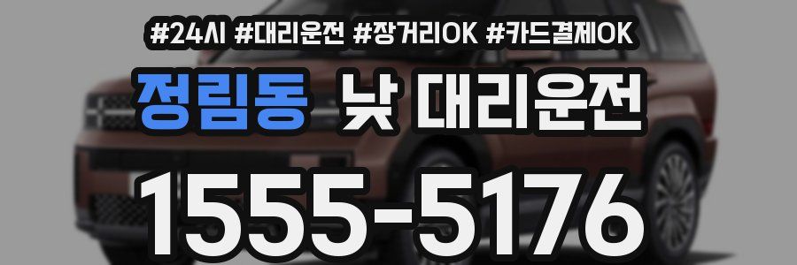 정림동 낮 대리운전
