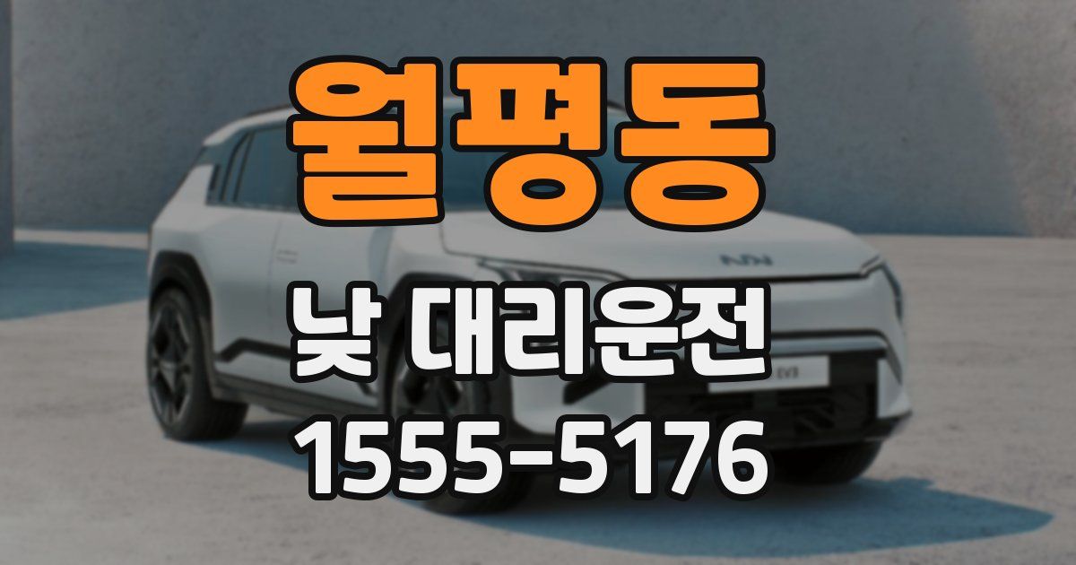 월평동 낮 대리운전