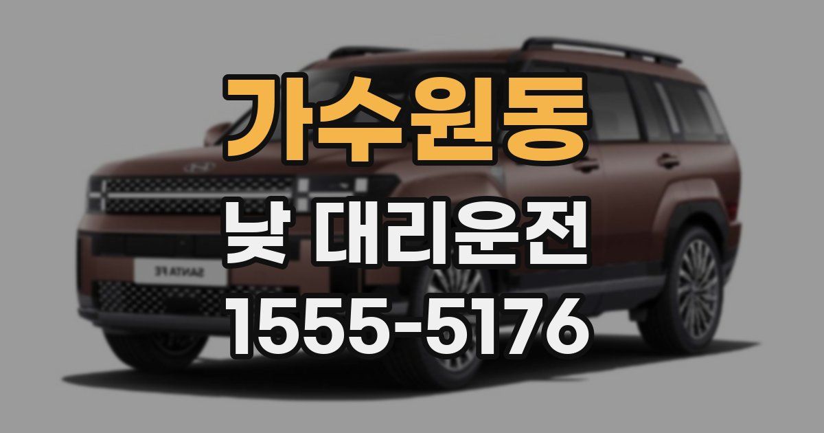 가수원동 낮 대리운전