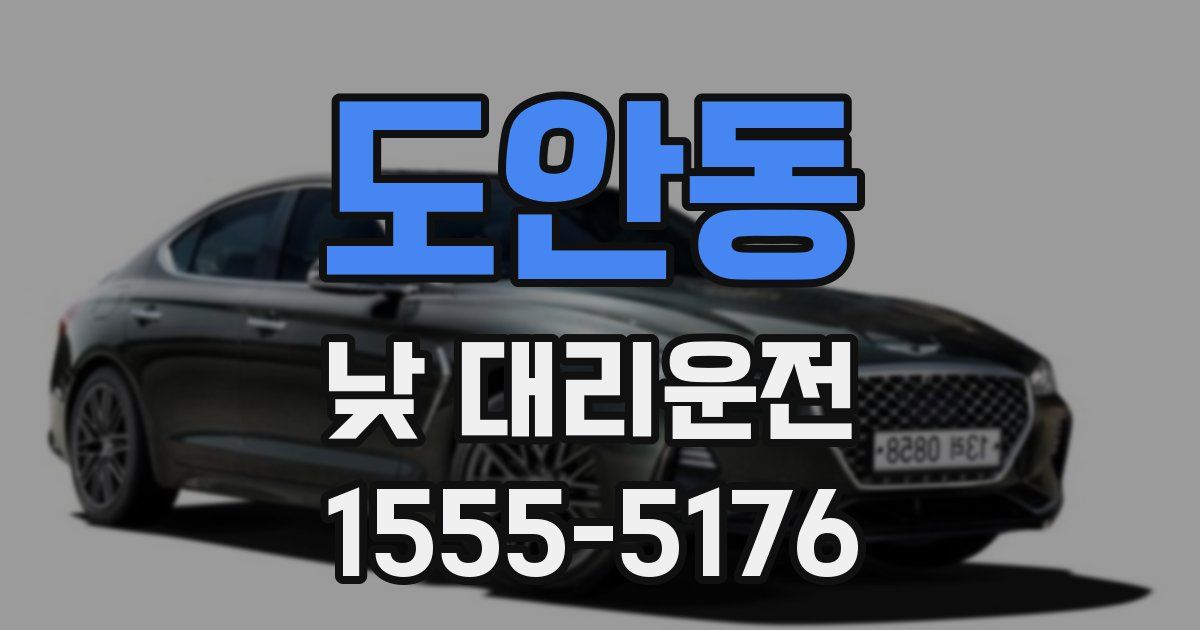 도안동 낮 대리운전