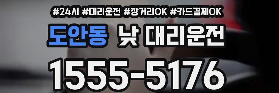 도안동 낮 대리운전