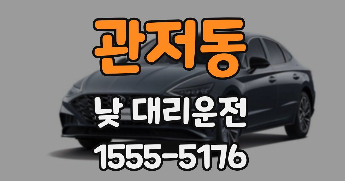 관저동 낮 대리운전