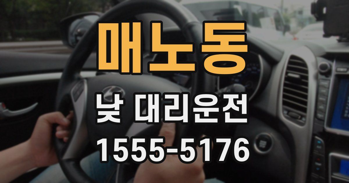 매노동 낮 대리운전