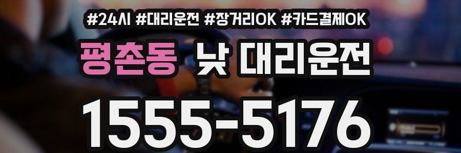 평촌동 낮 대리운전