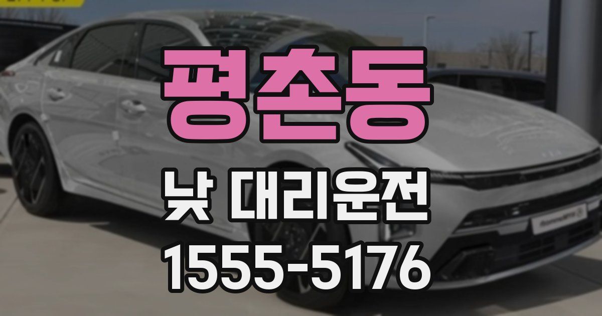 평촌동 낮 대리운전