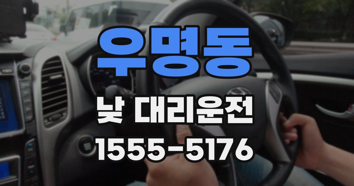 우명동 낮 대리운전