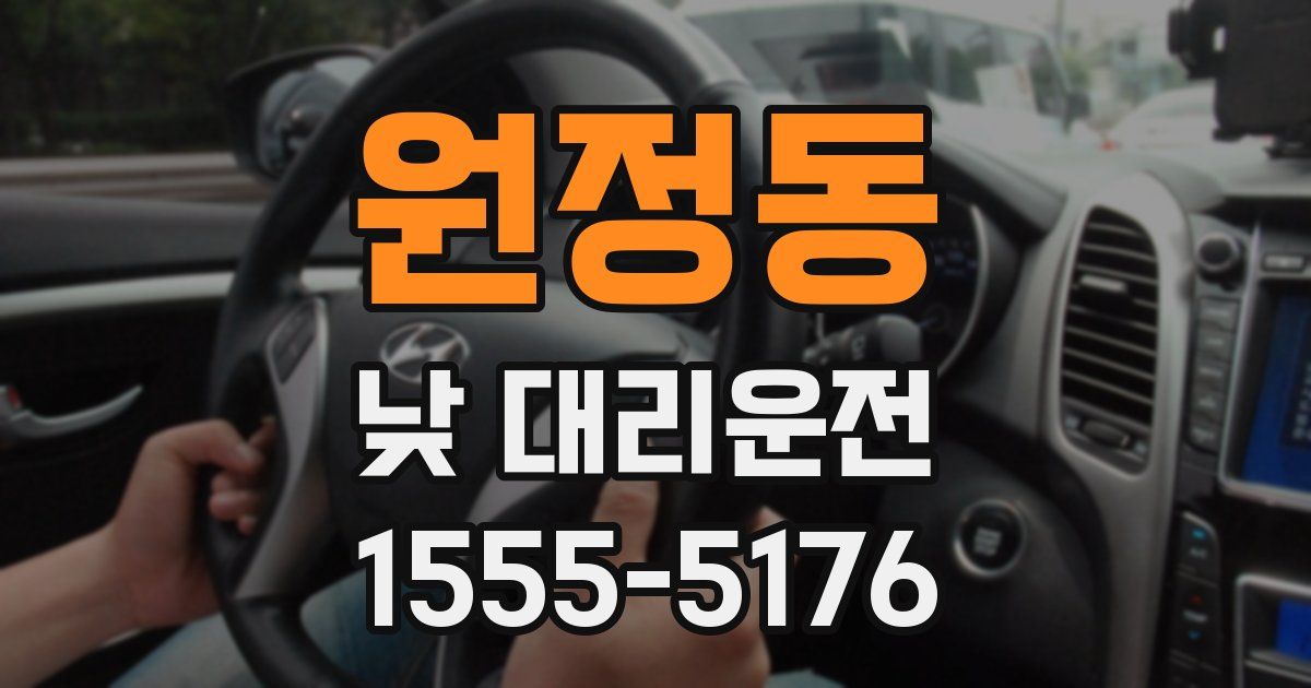 원정동 낮 대리운전