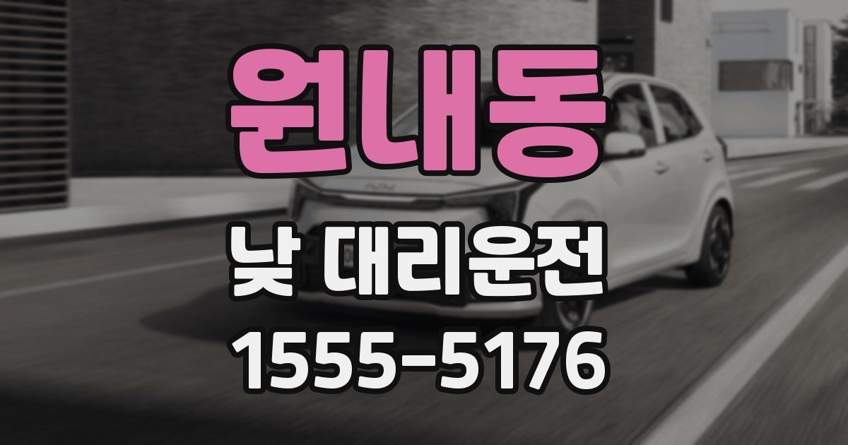 원내동 낮 대리운전