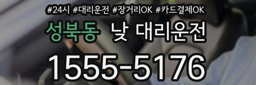 성북동 낮 대리운전
