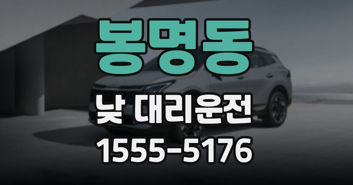봉명동 낮 대리운전