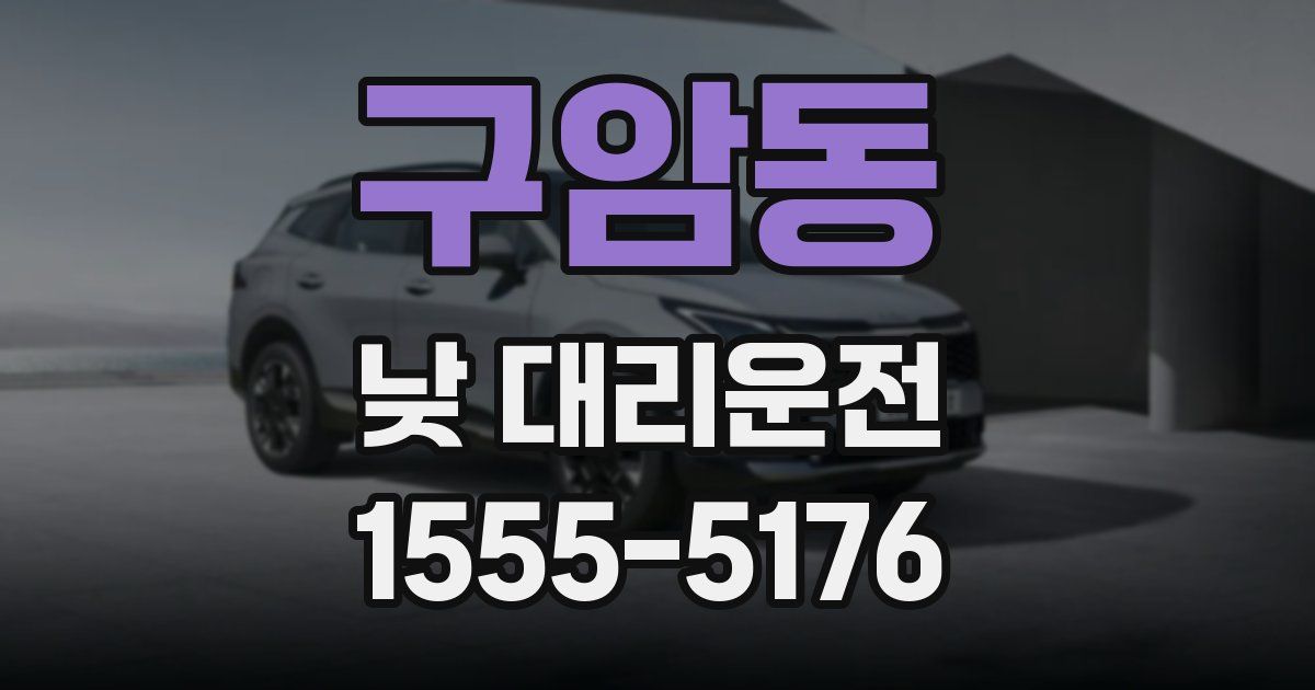 구암동 낮 대리운전