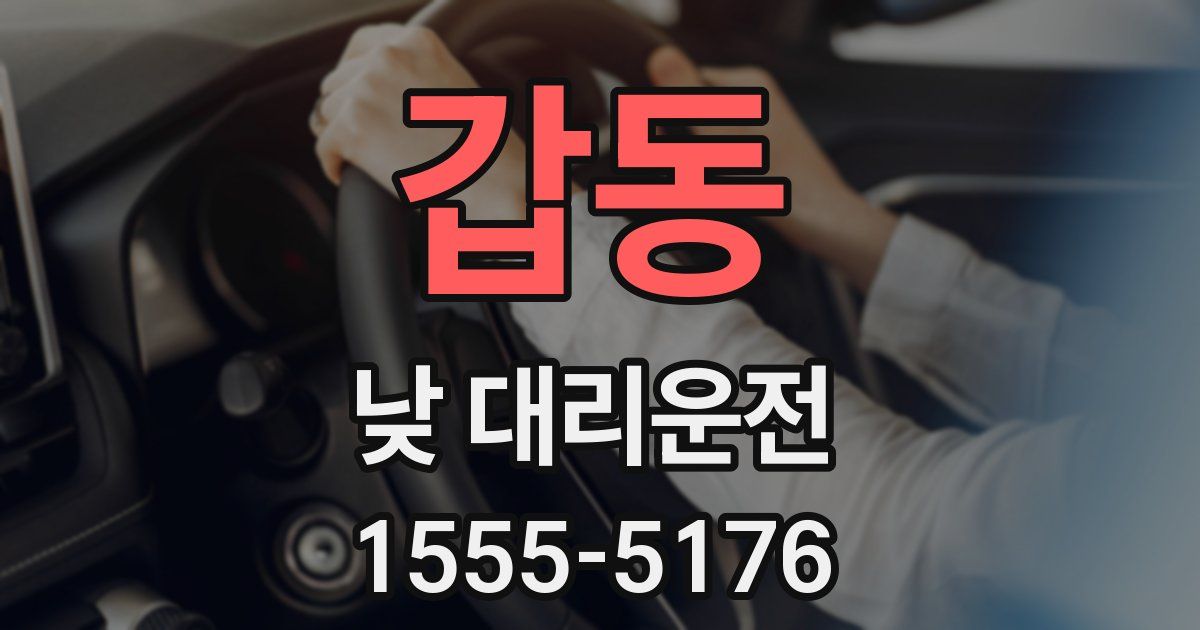 갑동 낮 대리운전