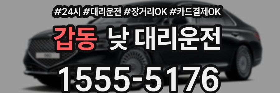 갑동 낮 대리운전