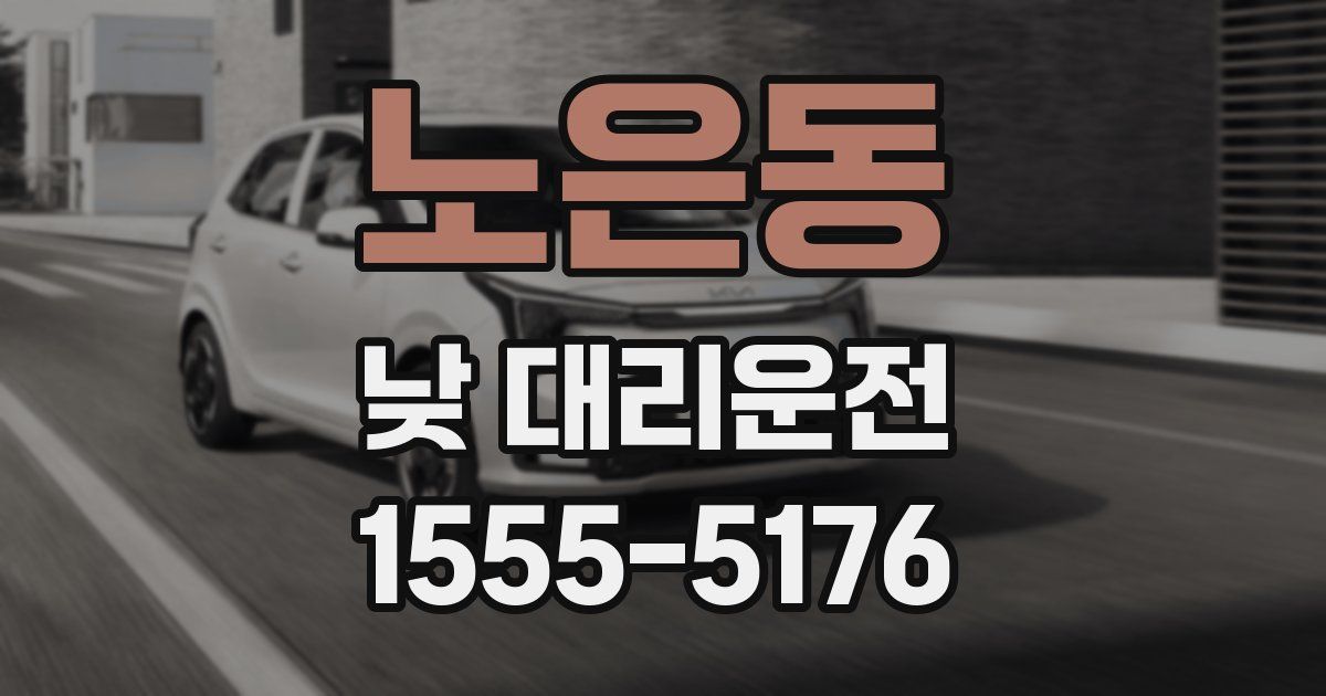 노은동 낮 대리운전