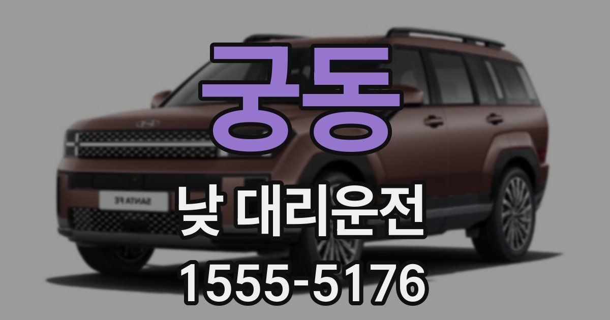 궁동 낮 대리운전
